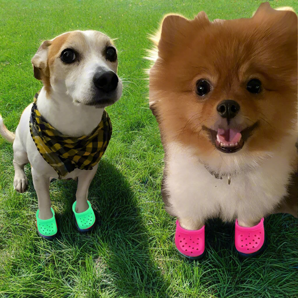 Clog Style Rubber Dog Shoes - Simply Petastic