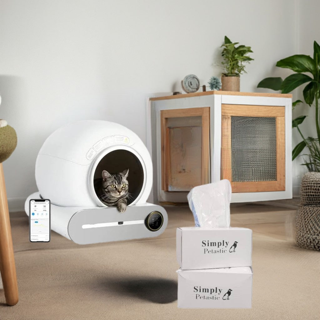Innovative Litter Box Designs for Modern Homes