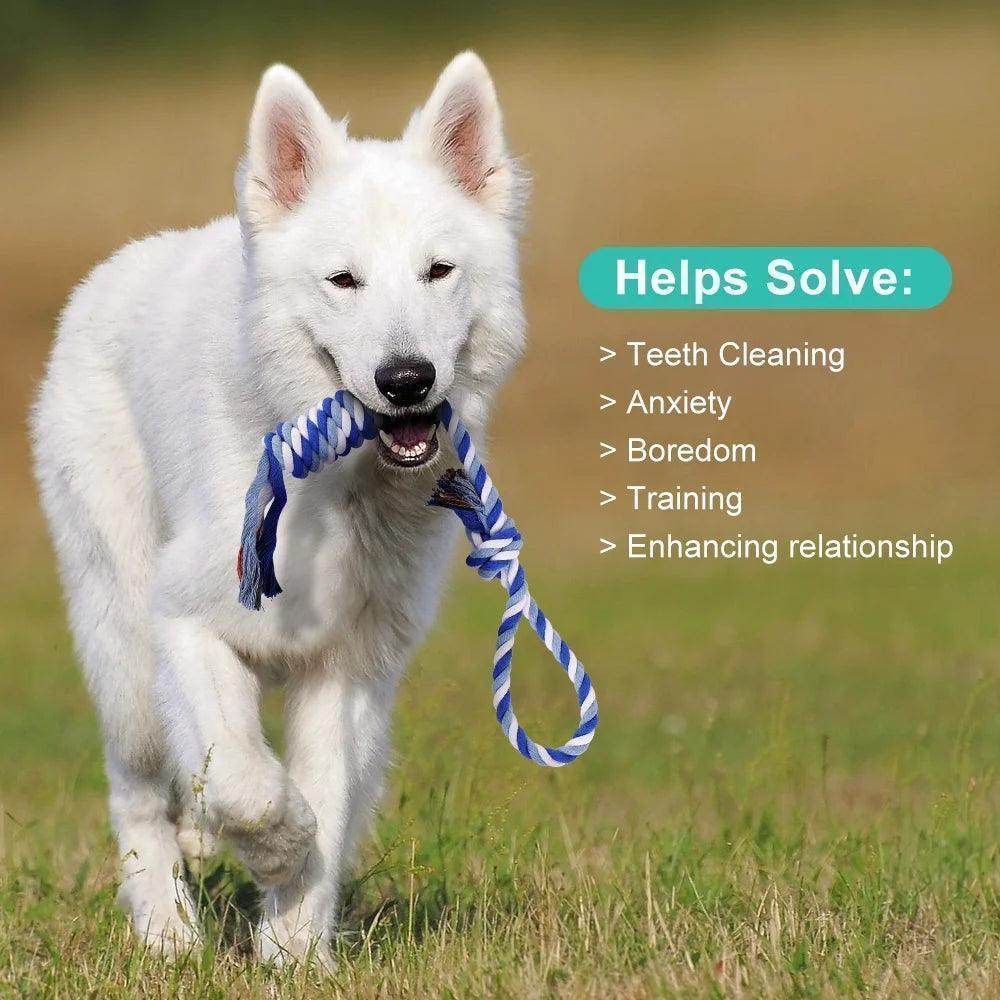 Dog Chew Toys for Aggressive Chewers, 8 Pack Interactive Washable Tough Teething Dog Rope Toys, for Puppies Small Medium Dogs - Simply Petastic