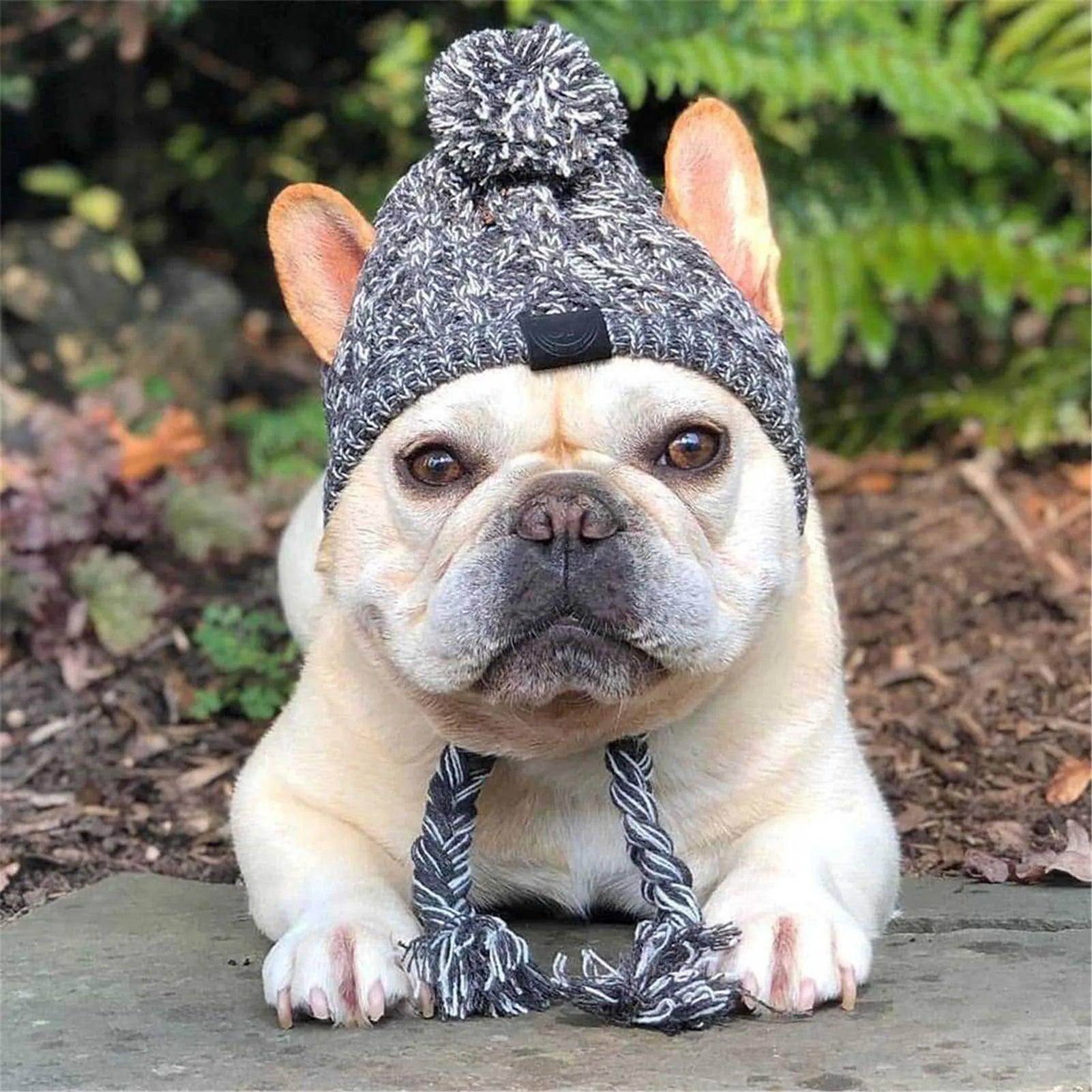 Cute Warm Cozy Beanie For Dogs And Cats - Simply Petastic