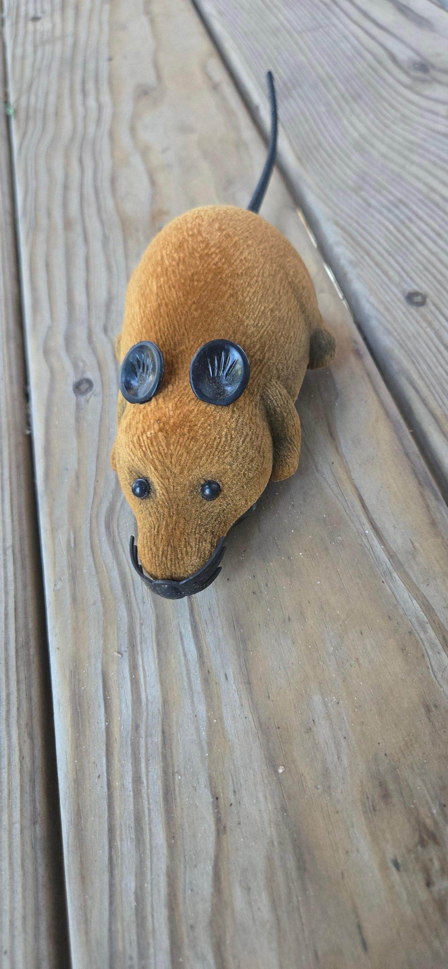 Remote Control Mouse Toy For Cats - Simply Petastic