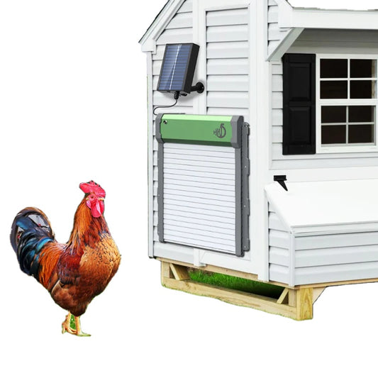 Roll Down Automatic Chicken Coop Door Solar Powered
