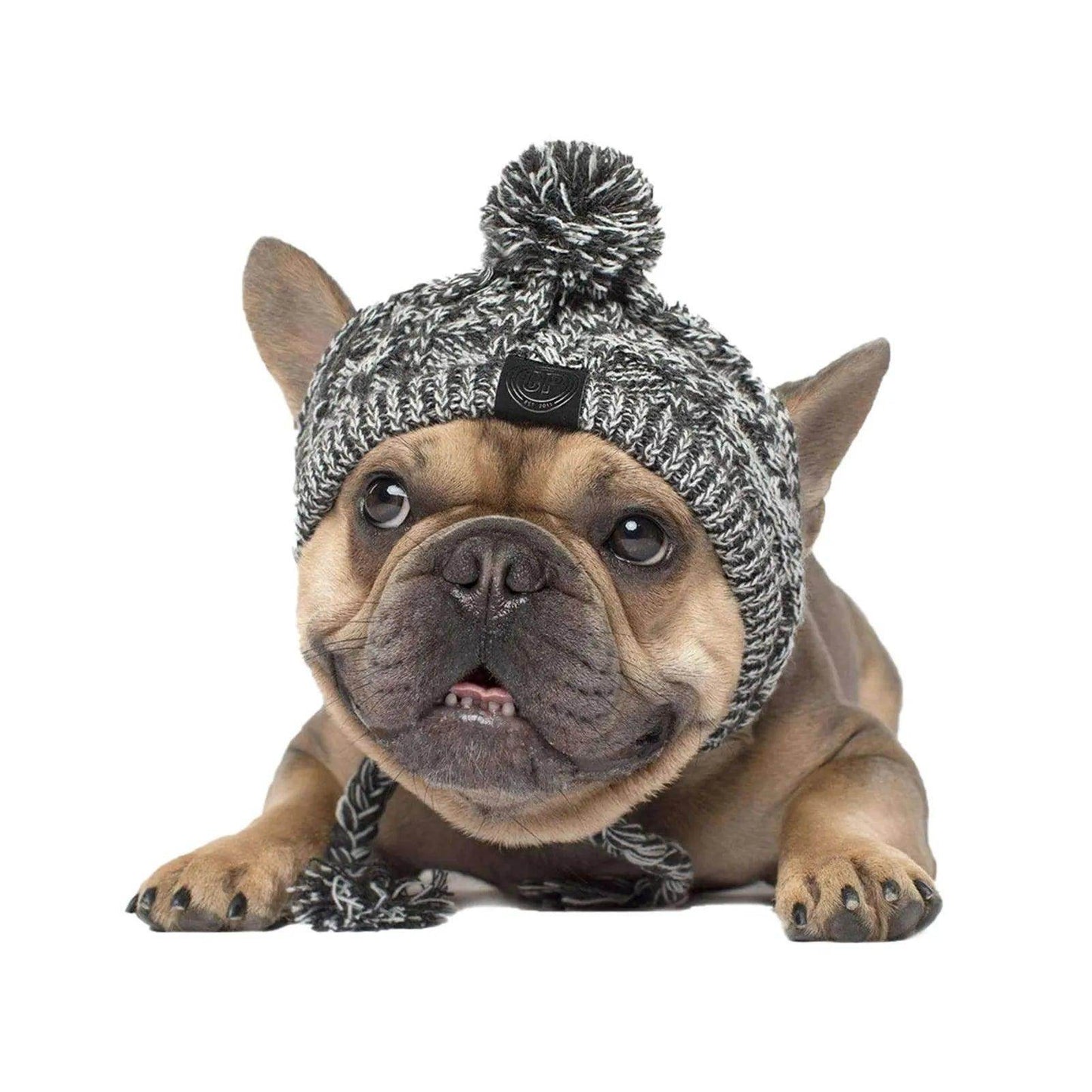 Cute Warm Cozy Beanie For Dogs And Cats - Simply Petastic