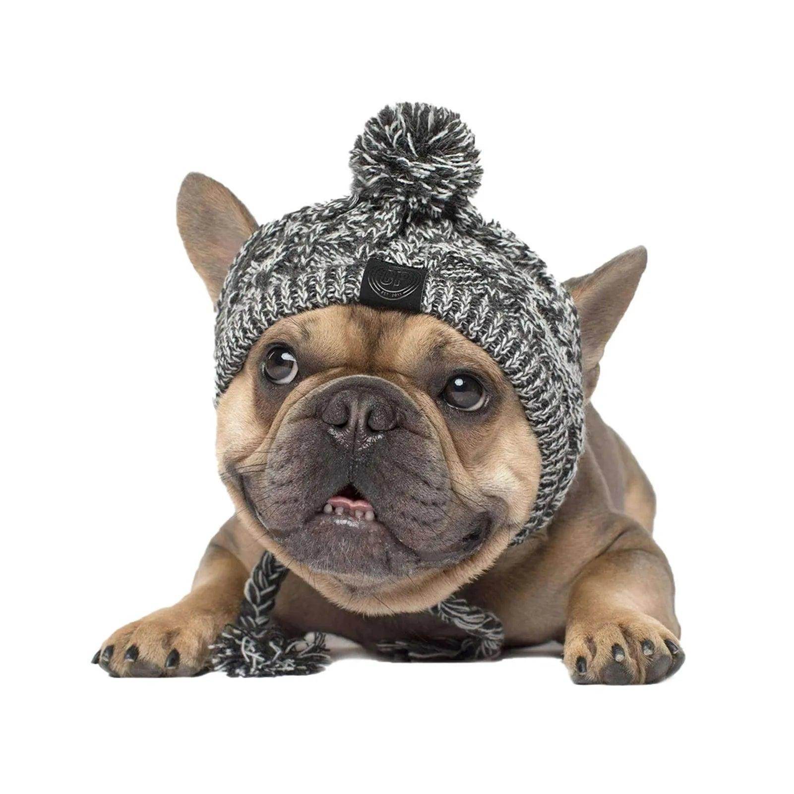 Cute Warm Cozy Beanie For Dogs And Cats - Simply Petastic