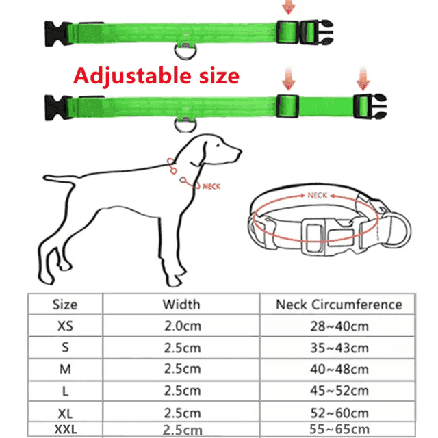 Rechargeable L.E.D Light Up Safety Dog Collar - Simply Petastic