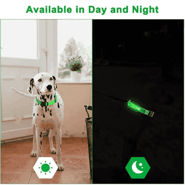 Rechargeable L.E.D Light Up Safety Dog Collar - Simply Petastic