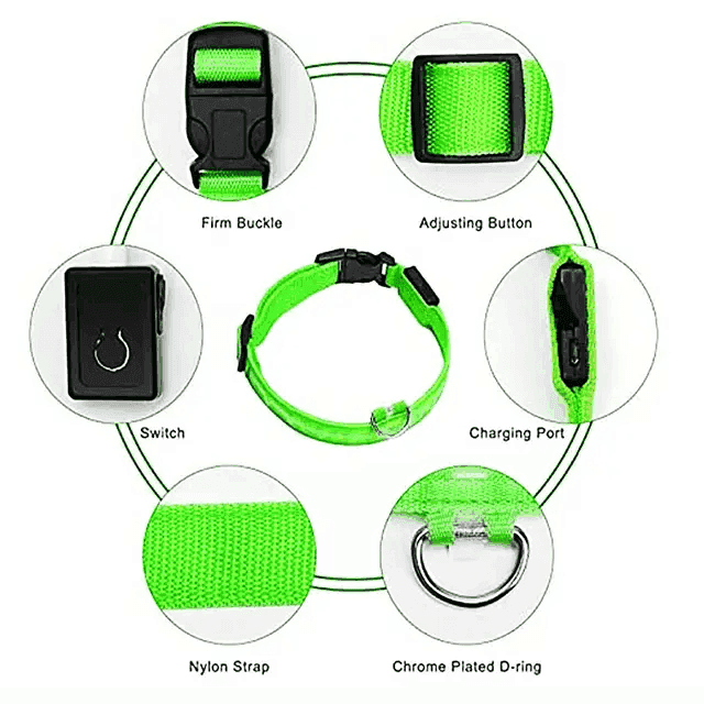 Rechargeable L.E.D Light Up Safety Dog Collar - Simply Petastic