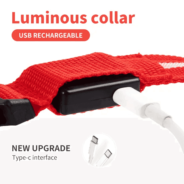 Rechargeable L.E.D Light Up Safety Dog Collar - Simply Petastic