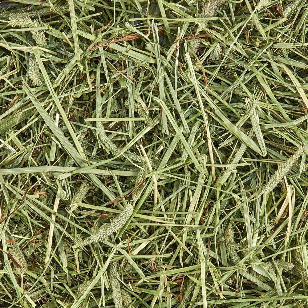 Forti Diet Timothy Hay for Rabbits, Guinea Pigs, Hamsters, Chinchillas and Other Small Animals, 180 Ounces - Simply Petastic