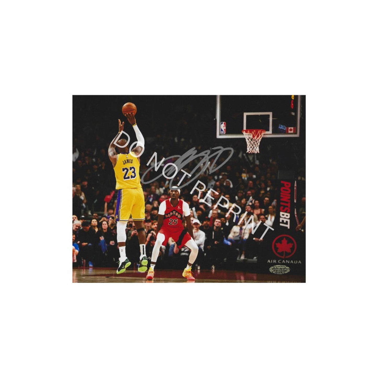 Lebron James La Lakers autographed 8x10 photo Art Print W/ Frame
