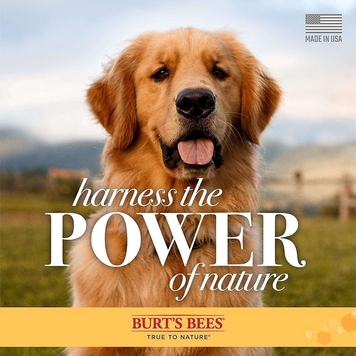 Natural Hypoallergenic Shampoo with Shea Butter and Honey for All Dogs and Puppies with Dry or Sensitive Skin | Made in the USA | 16 Ounces - Simply Petastic
