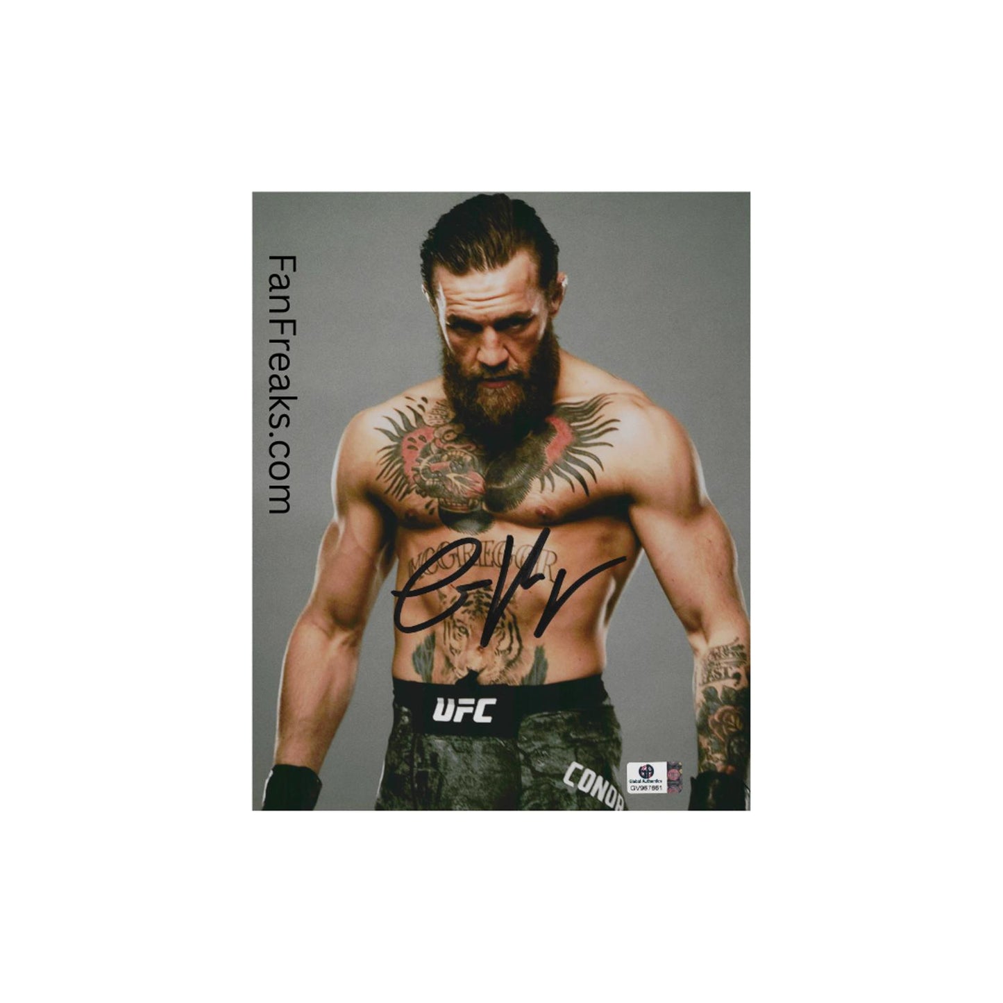 Conor McGregor UFC Autographed 8x10 Art Print no frame B