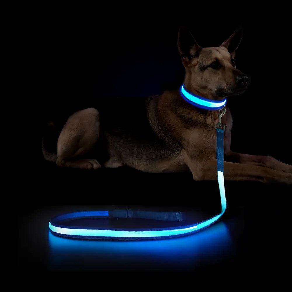 LED Rechargeable Dog Leash - Simply Petastic