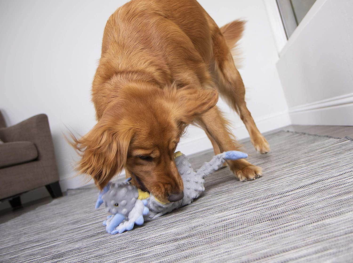 Dinos Frills Squeaky Plush Dog Toy, Chew Guard Technology - Gray, Large - Simply Petastic