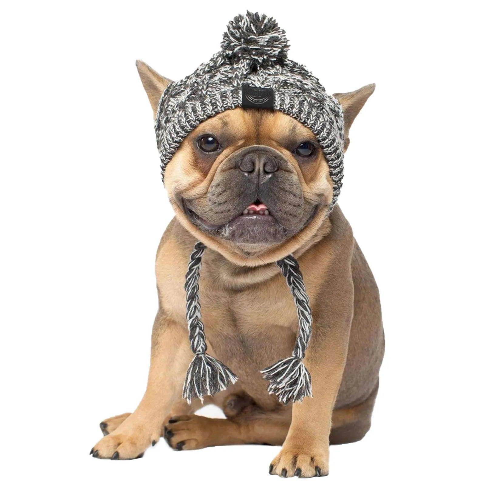 Cute Warm Cozy Beanie For Dogs And Cats - Simply Petastic