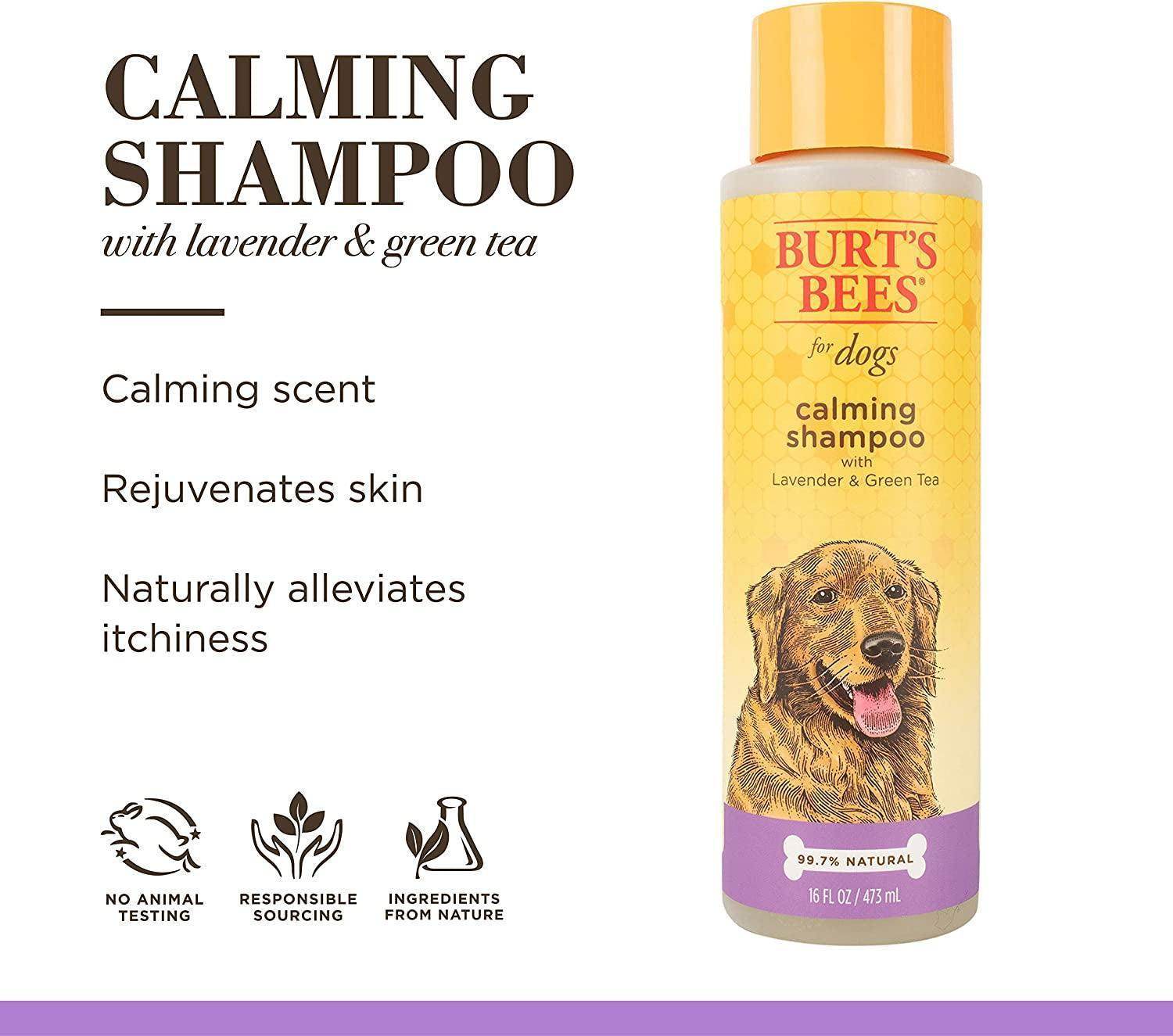 Natural Calming Lavender Dog Shampoo with Green Tea, Anti-Itch and Allergy Relief, Includes Oatmeal for Soothing Comfort - Sulfate, Paraben Free, Ph Balanced, 16 Oz - Made in USA - Simply Petastic