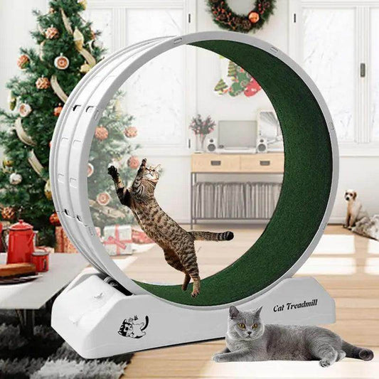 Cat Treadmill Wheel Exerciser for Kitty’S Longer Life - Simply Petastic