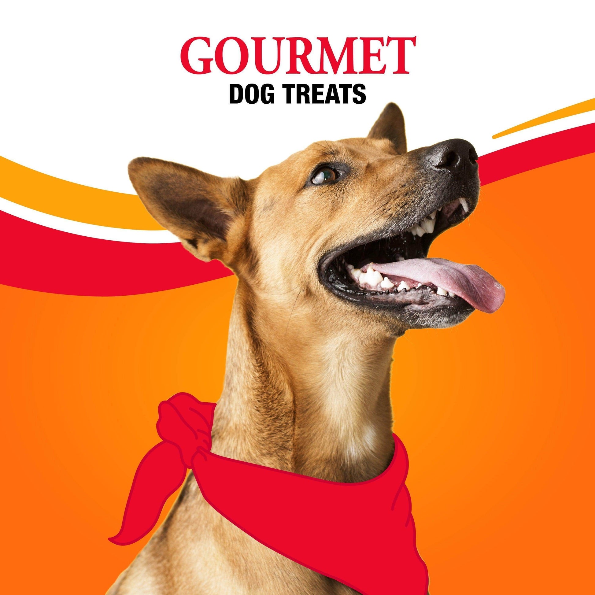 Good ’N’ Fun Triple Flavor Kabobs, Rawhide Chews for All Dogs, 36 Count - Simply Petastic