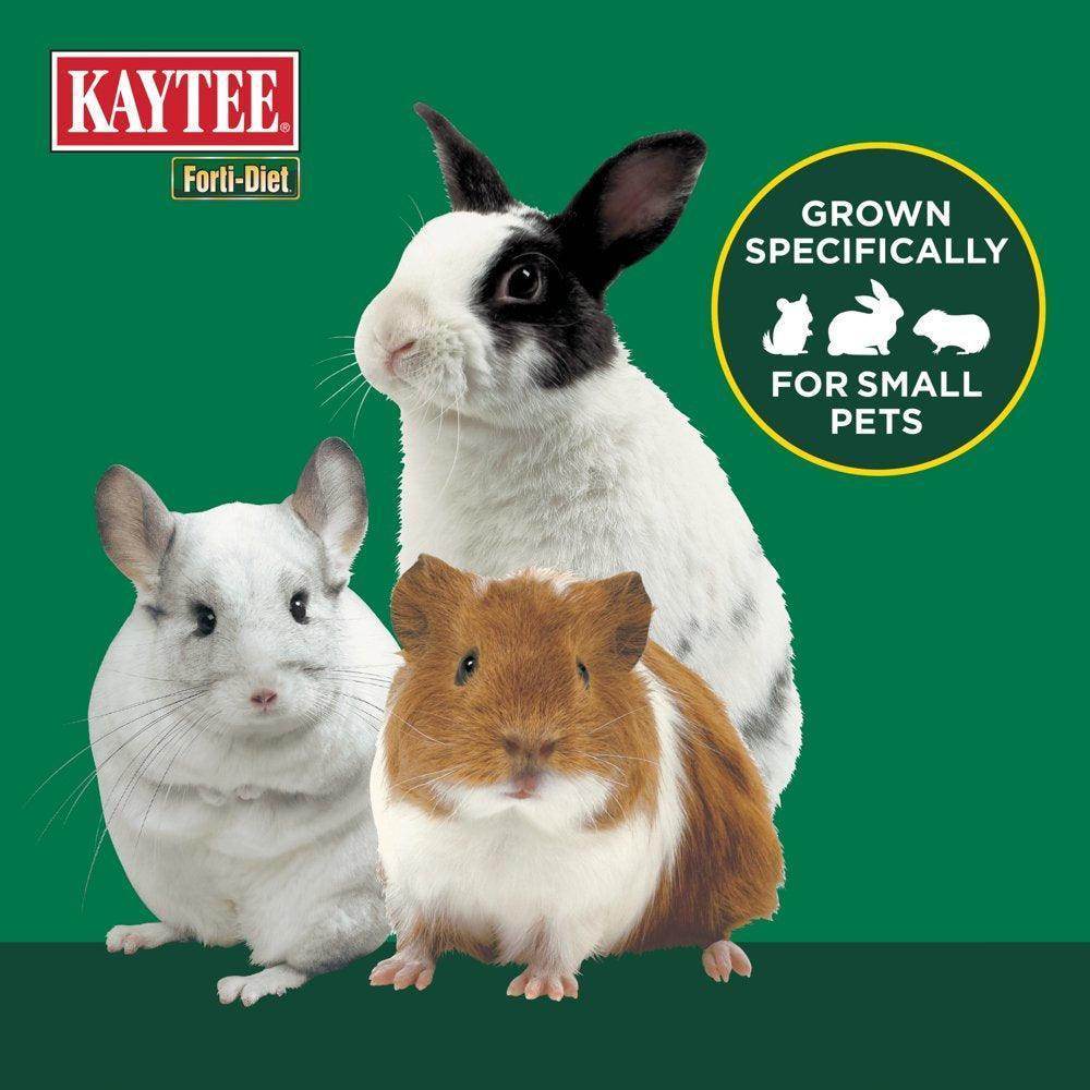 Forti Diet Timothy Hay for Rabbits, Guinea Pigs, Hamsters, Chinchillas and Other Small Animals, 180 Ounces - Simply Petastic
