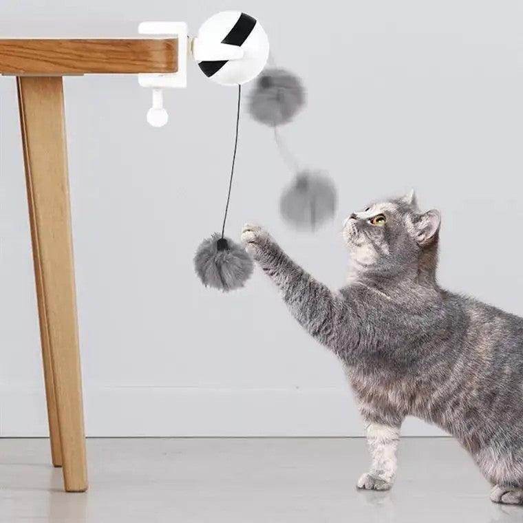 Interactive Cat Toys Simulation Automatic Robotic Yo-Yo Toy - Simply Petastic