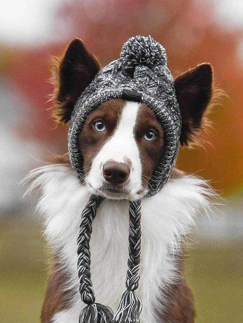 Cute Warm Cozy Beanie For Dogs And Cats - Simply Petastic