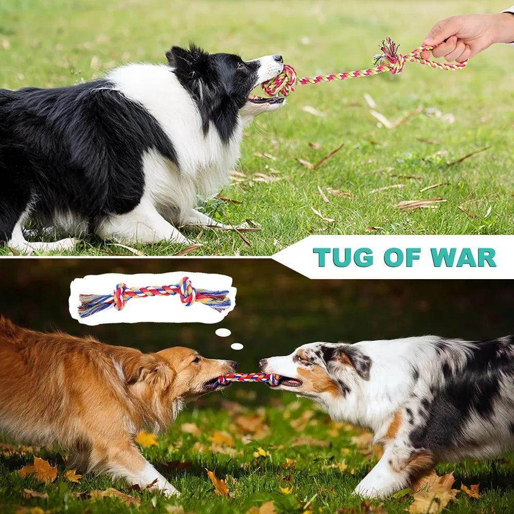 Dog Chew Toys for Aggressive Chewers, 8 Pack Interactive Washable Tough Teething Dog Rope Toys, for Puppies Small Medium Dogs - Simply Petastic