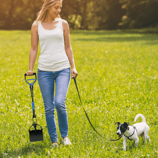 Vibrant Life Foldable Plastic Spring Action Pooper Scooper for Dogs - Black/Blue