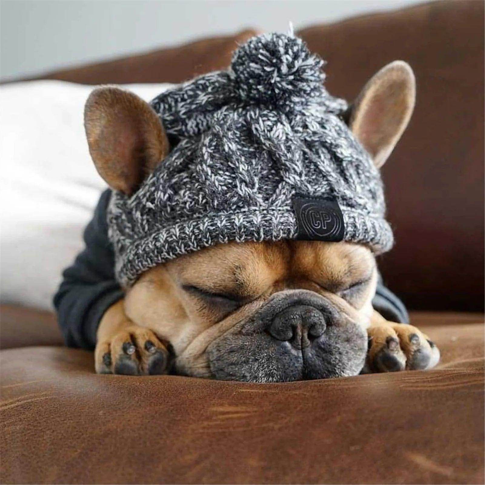 Cute Warm Cozy Beanie For Dogs And Cats - Simply Petastic
