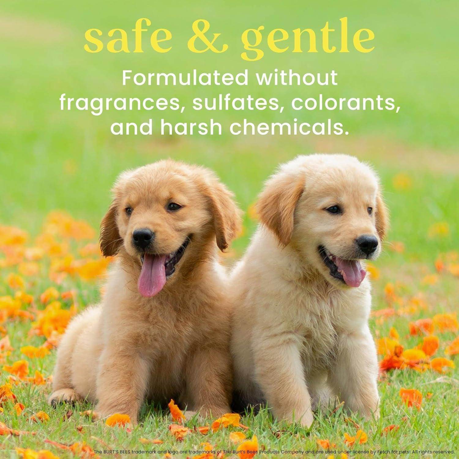Puppies Natural Tearless 2 in 1 Shampoo and Conditioner - Made with Buttermilk and Flax Seed Oil - Best Tearless Puppy Shampoo for Gentle Skin and Coat - Made in USA, 16 Oz - Simply Petastic