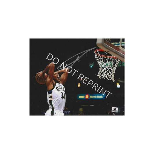Giannis Antetokounmpo Milwaukee Bucks Autographed 8x10 Photo Art Print   No Frame A