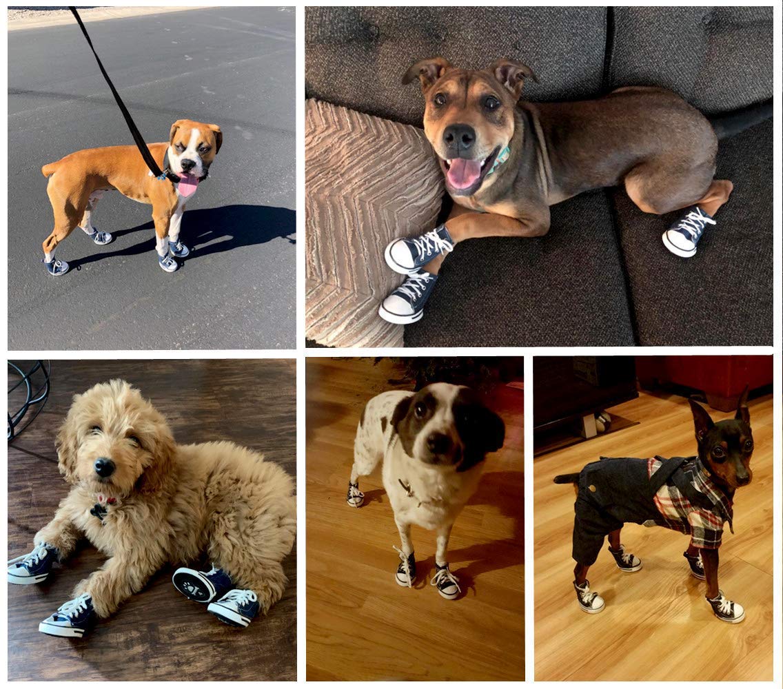 4 Pcs Pet Dog Puppy Canvas Sport Shoes, Sneaker Boots, Outdoor Nonslip Causal Shoes