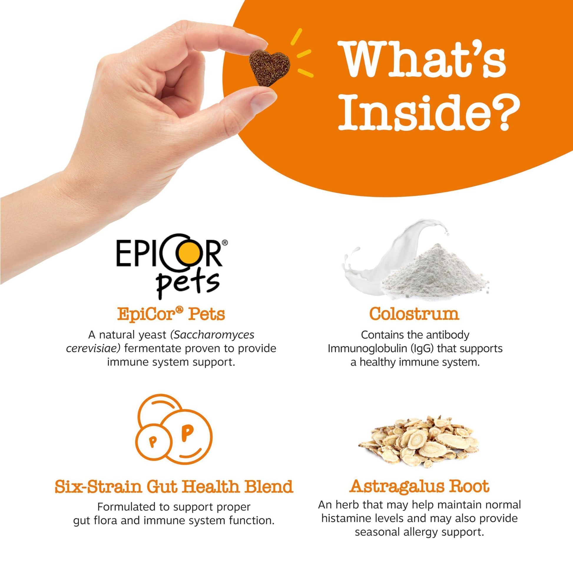 Zesty Paws Dog Allergy Relief - Anti Itch Supplement - Omega 3 Probiotics for Dogs - Digestive Health - Soft Chews for Skin & Seasonal Allergies - with Epicor Pets - Lamb - 90 Count - Simply Petastic