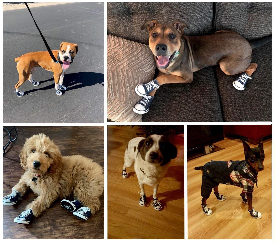 4 Pcs Pet Dog Puppy Canvas Sport Shoes, Sneaker Boots, Outdoor Nonslip Causal Shoes