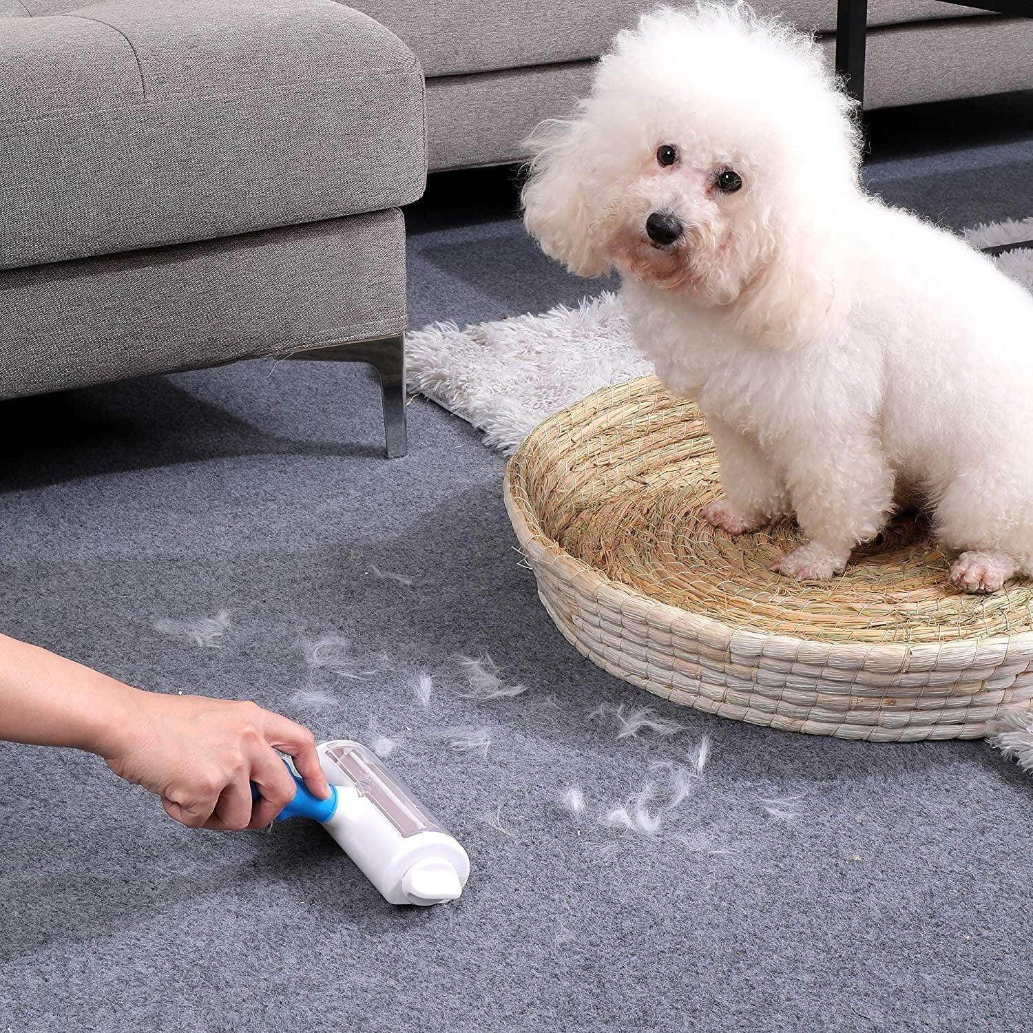 Pet Hair Cleaner Reusable Cat & Dog Hair Remover for Furniture Couch Carpet Car Seats Resolve Pet Hair, Gray/White Random - Simply Petastic