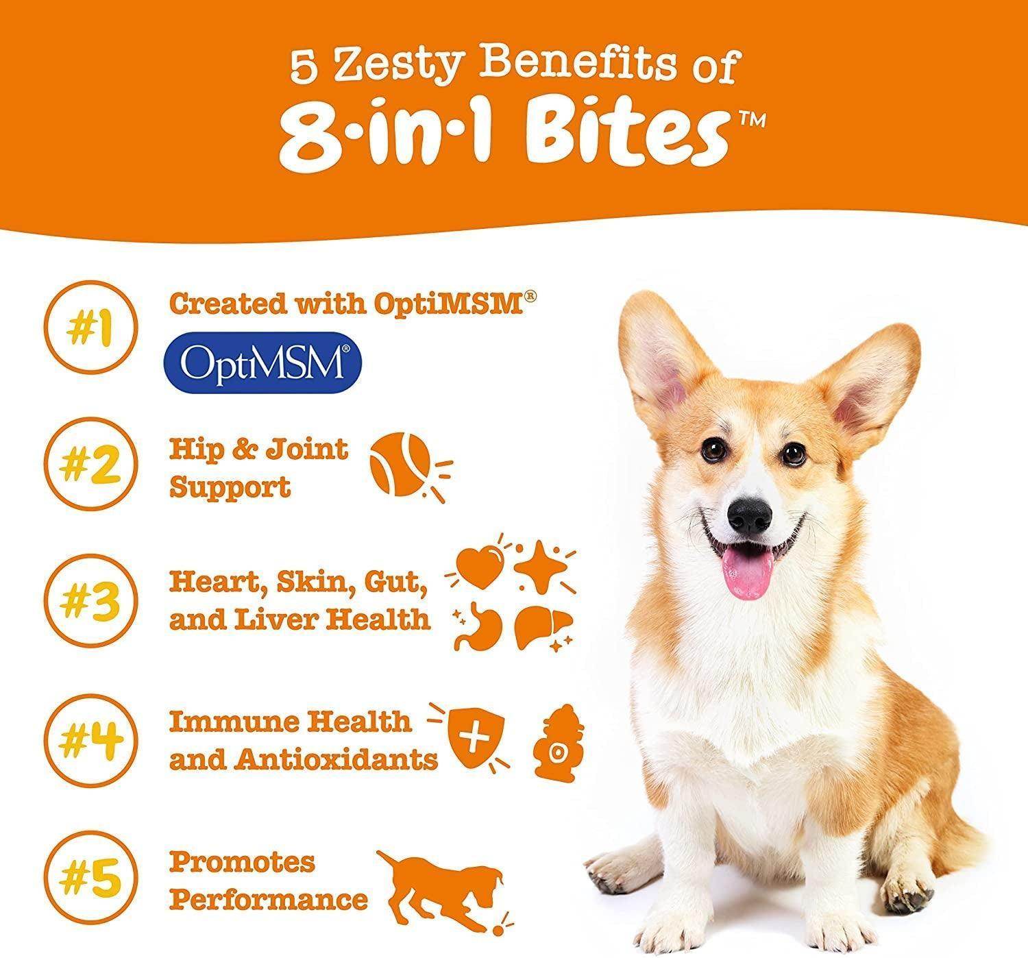 Multifunctional Supplements for Dogs - Glucosamine Chondroitin for Joint Support with Probiotics for Gut & Immune Health – Omega Fish Oil with Antioxidants and Vitamins for Skin & Heart Health - Simply Petastic