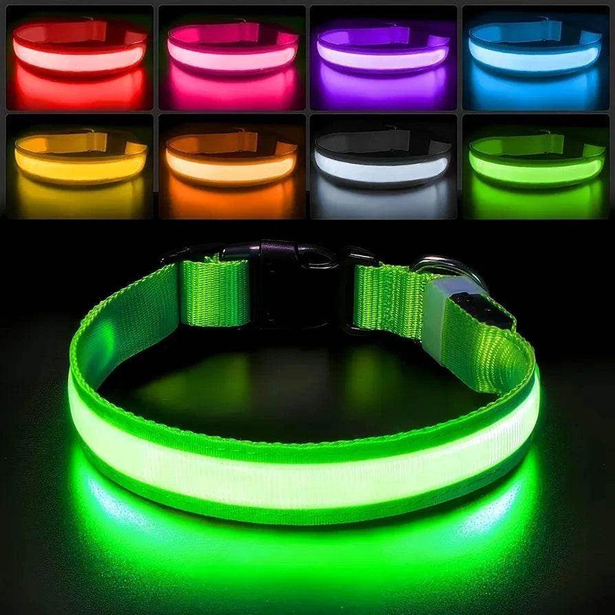 Rechargeable L.E.D Light Up Safety Dog Collar - Simply Petastic