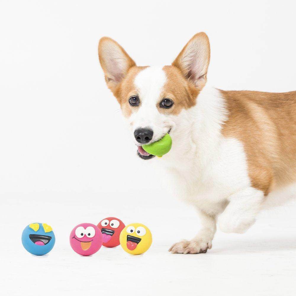 Playful Buddy Dog Toys, Emoticon, Extra Small, 5 Count - Simply Petastic