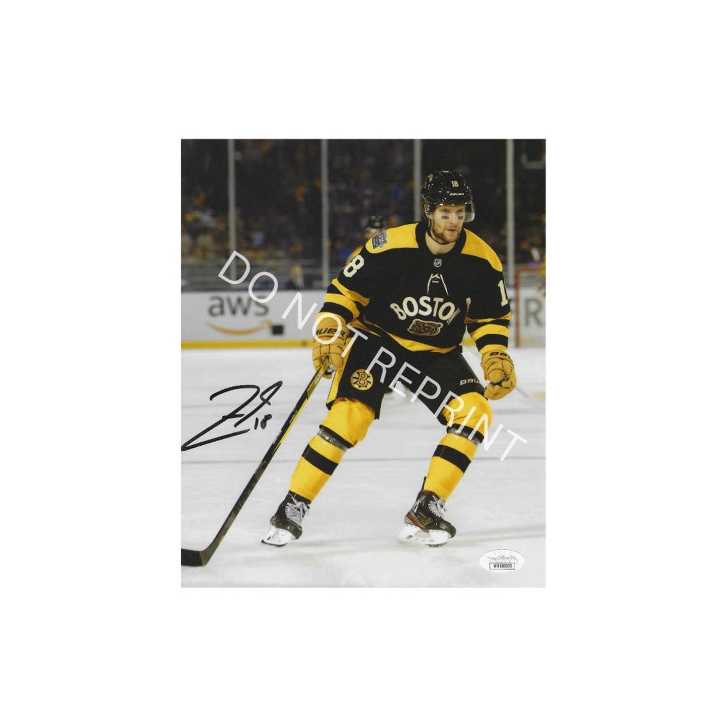 Pavel Zacha Boston Bruins Autographed 8x10 Photo Art Print   No Frame