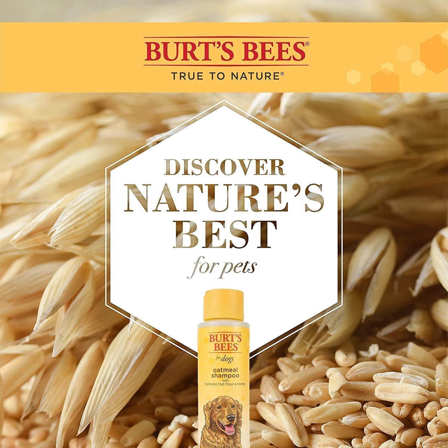 Burt's Bees Oatmeal Dog Shampoo: Colloidal Oat Flour & Honey - Simply Petastic