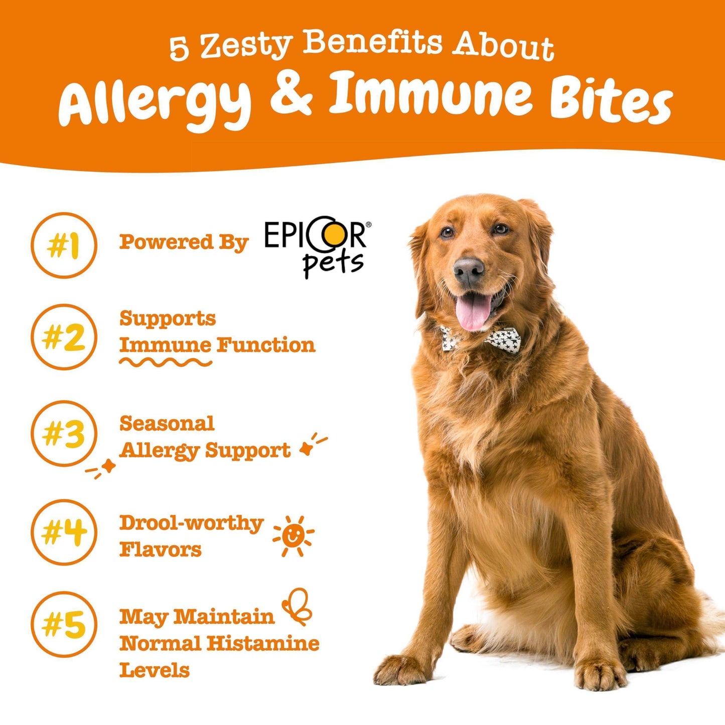 Zesty Paws Dog Allergy Relief - Anti Itch Supplement - Omega 3 Probiotics for Dogs - Digestive Health - Soft Chews for Skin & Seasonal Allergies - with Epicor Pets - Lamb - 90 Count - Simply Petastic