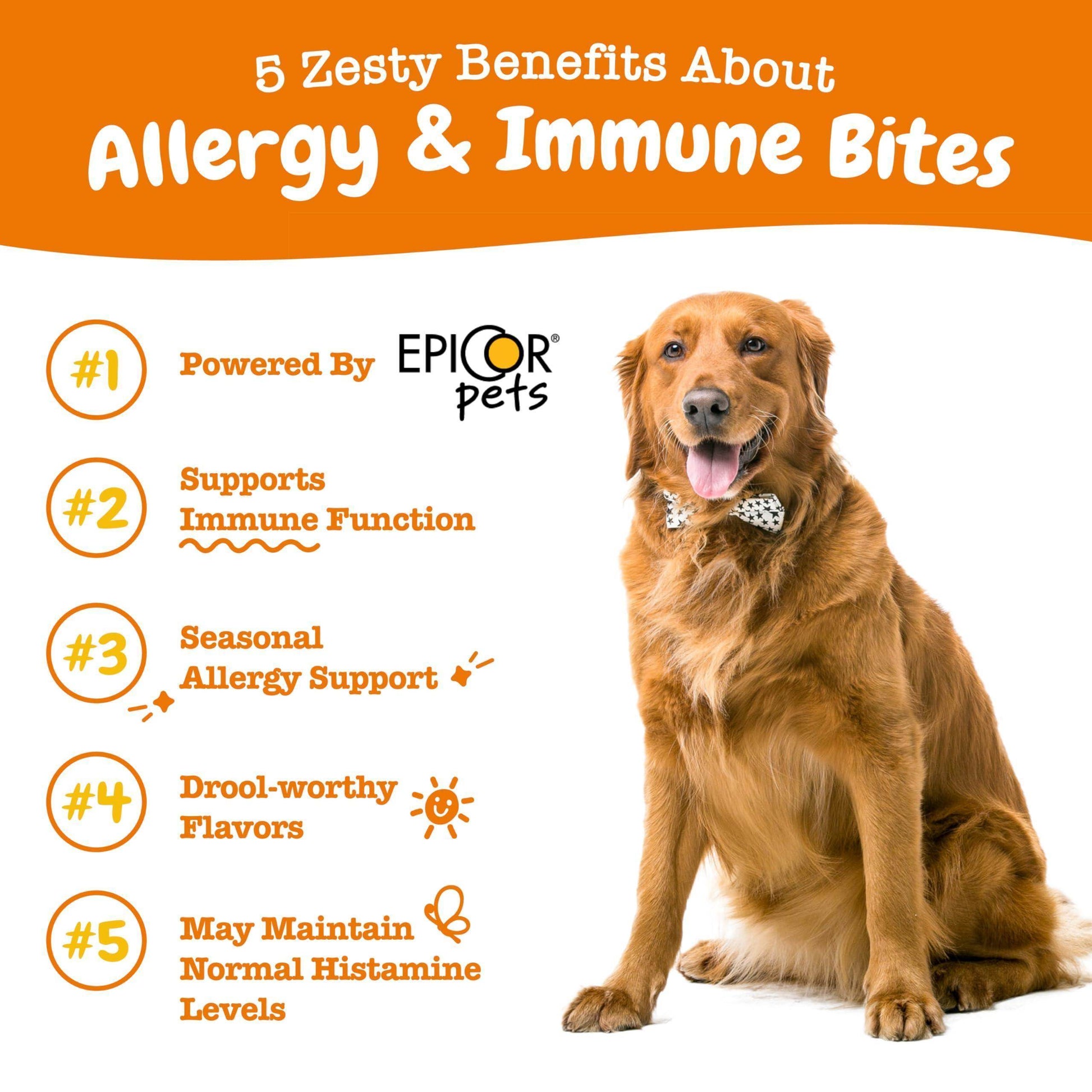 Zesty Paws Dog Allergy Relief - Anti Itch Supplement - Omega 3 Probiotics for Dogs - Digestive Health - Soft Chews for Skin & Seasonal Allergies - with Epicor Pets - Lamb - 90 Count - Simply Petastic