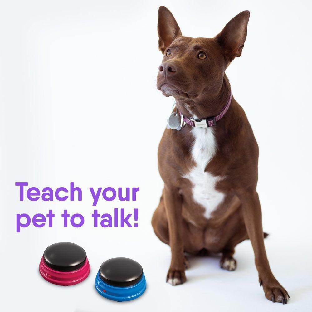 Talking Pet Starter Set - 4 Recordable Buttons for Dog Communication, Talking Dog Buttons - Simply Petastic