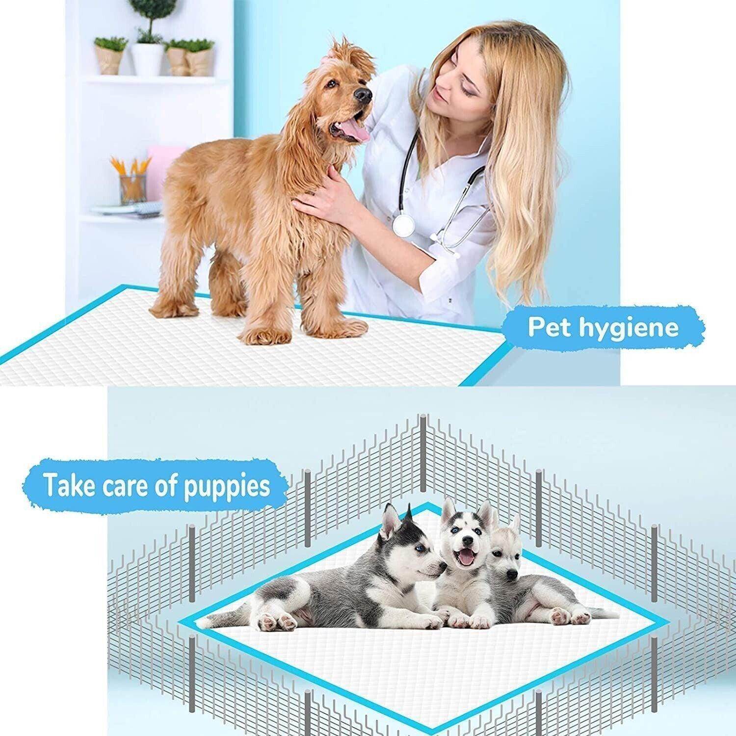 100PCS XL Dog Pads PEE Puppy Training Underpads House Ultra Heavy US - Simply Petastic