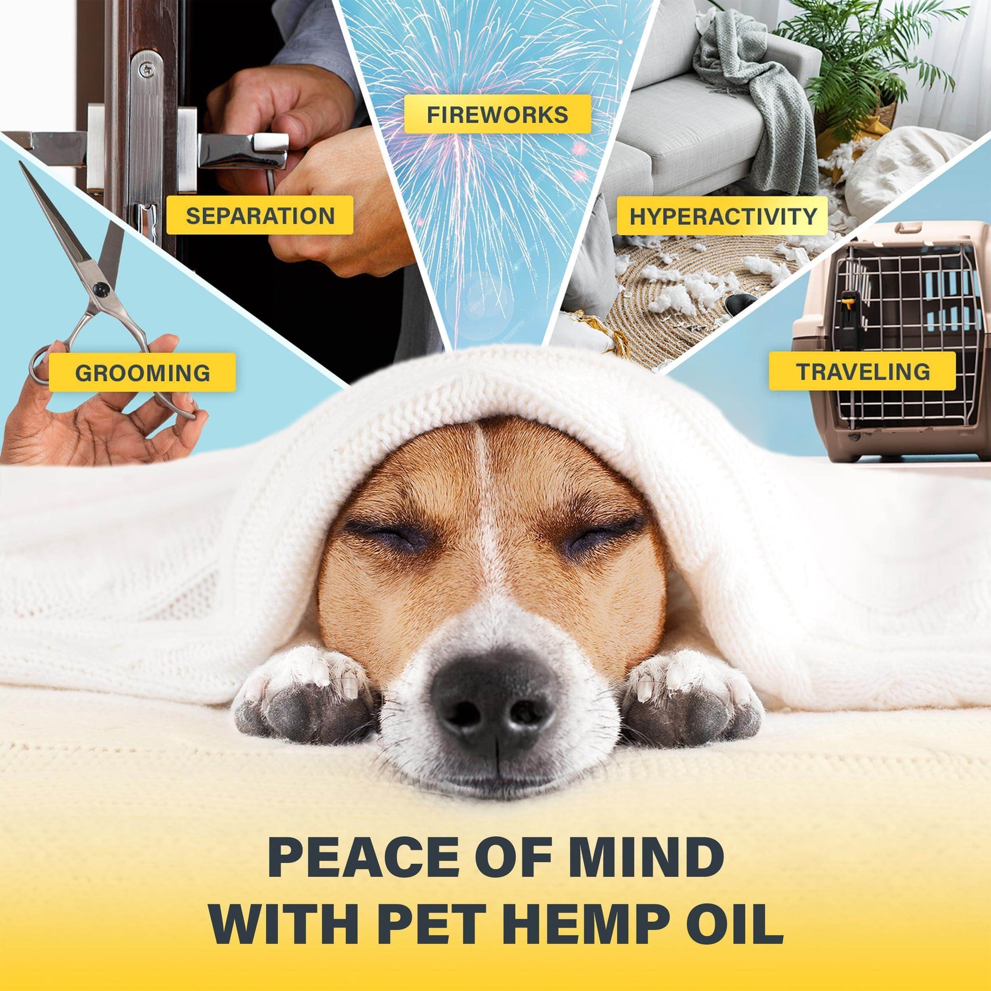 Charlie & Buddy Hemp Оil for Dogs Cats - Helps Pets with Аnxiеty, Pаin, Strеss, Slееp, Аrthritis, Sеizures Rеlief - Нiр Jоint Hеalth - Cаlming Trеats - Simply Petastic