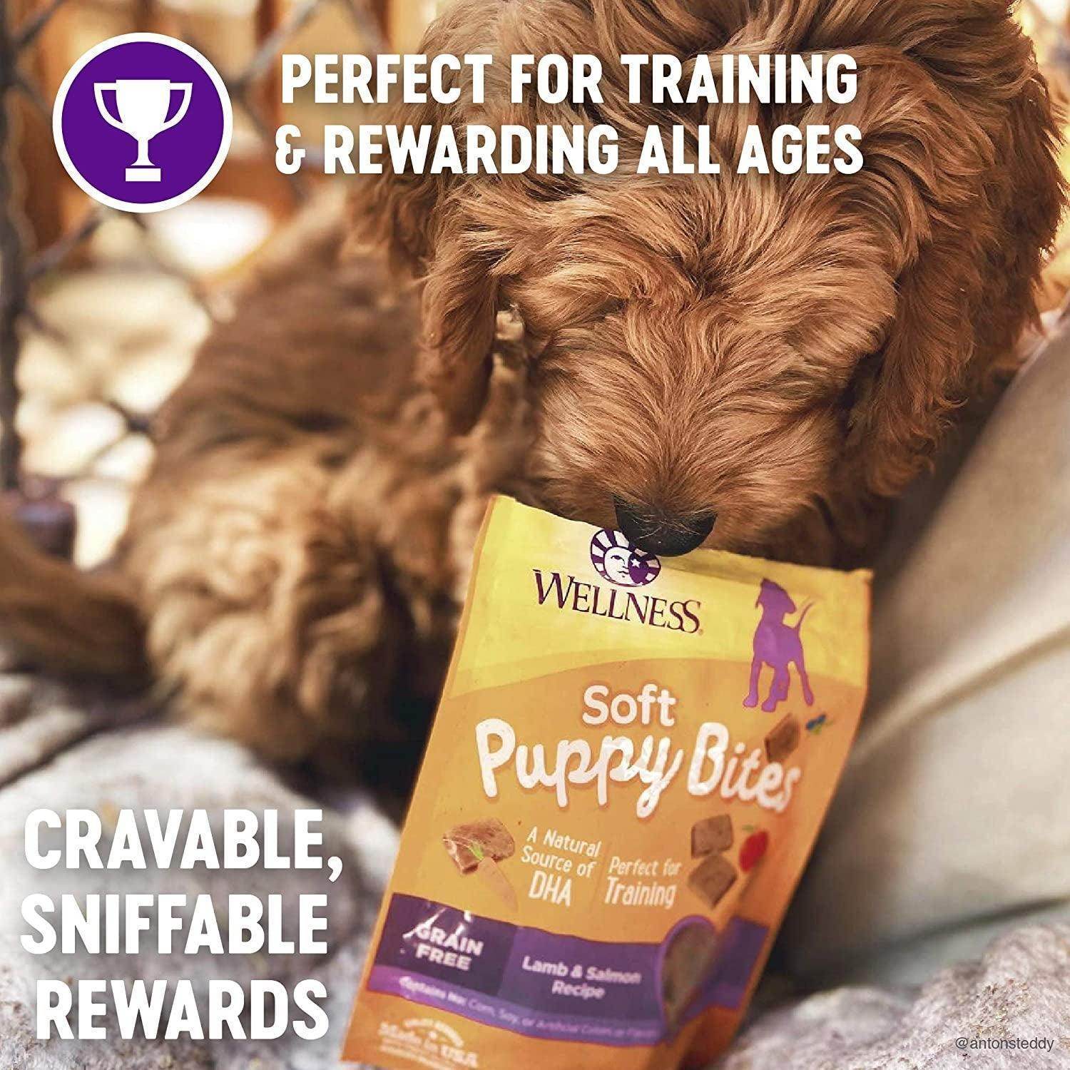 wellness Soft Puppy Bites Grain-Free Dog Treats with Real Lamb & Salmon, DHA, and No Artificial Flavors - 3 oz Bag" - Simply Petastic