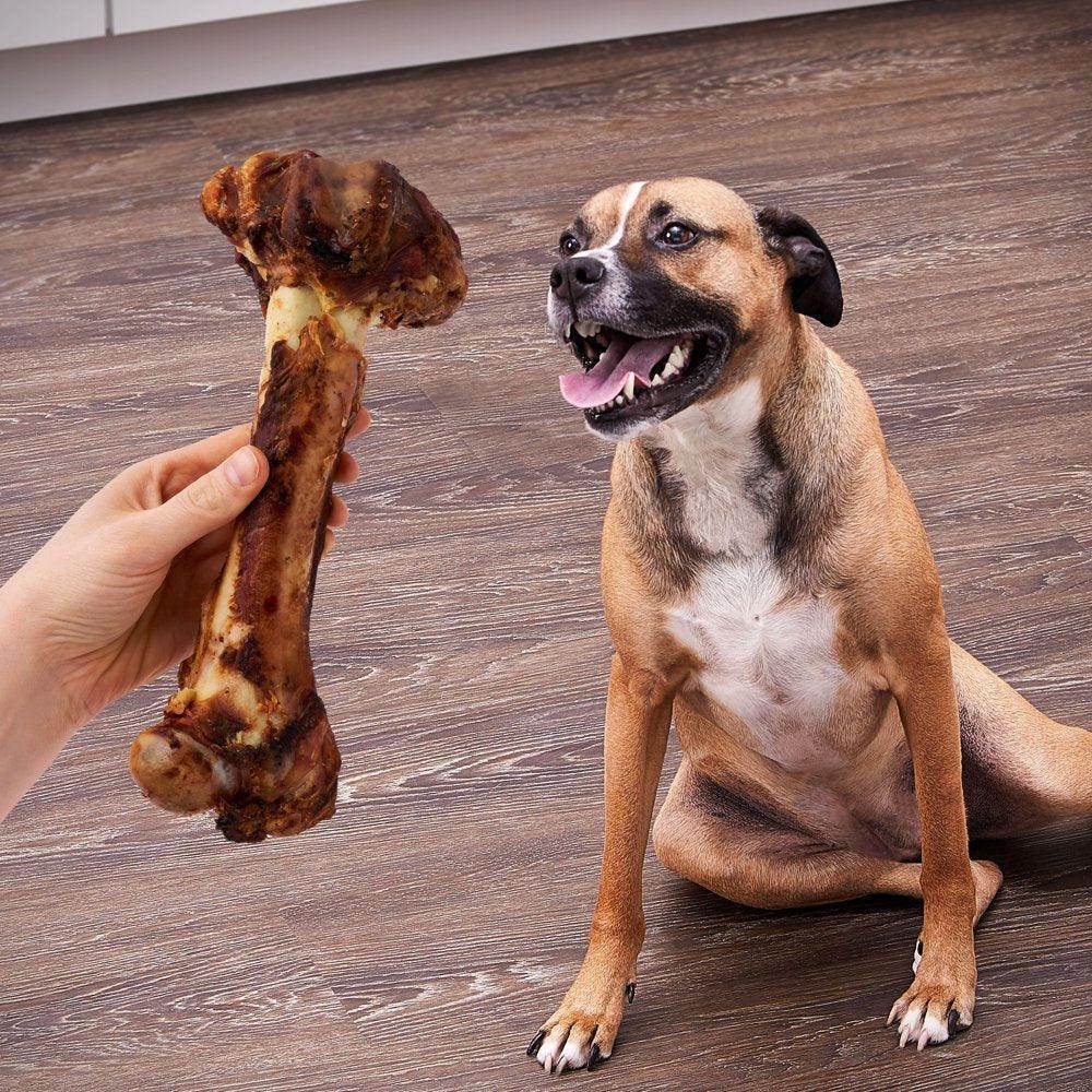 Natural Jumbo Pork Femur Chew for Dogs, 1 Count, 14.38 Oz - Simply Petastic