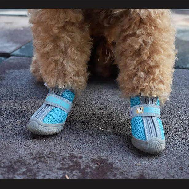 Premium Custom Dog Sneakers for Active Paws - Simply Petastic