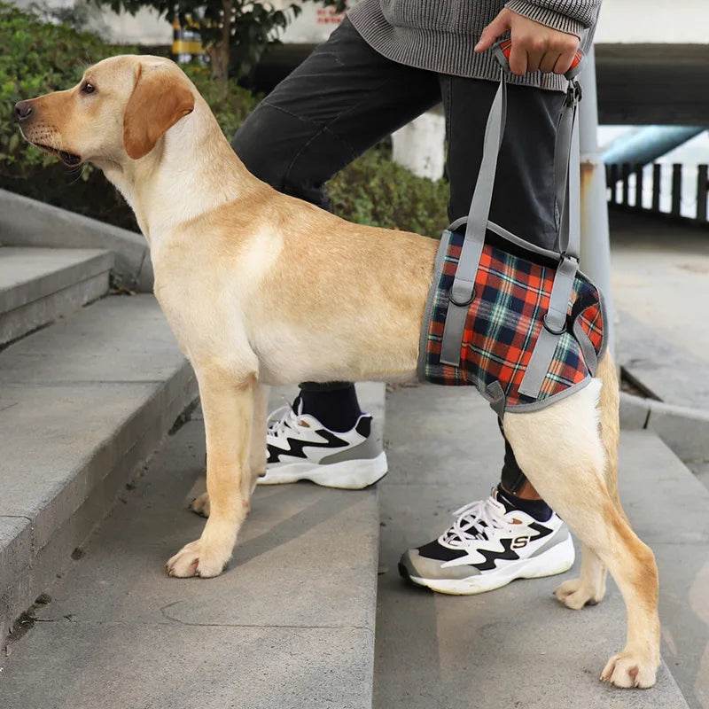 Adjustable Dog Support Harness for Front and Rear Legs Lifting Rehabilitation Vest for Old Dogs with Disabilities Pet Supplies - Simply Petastic