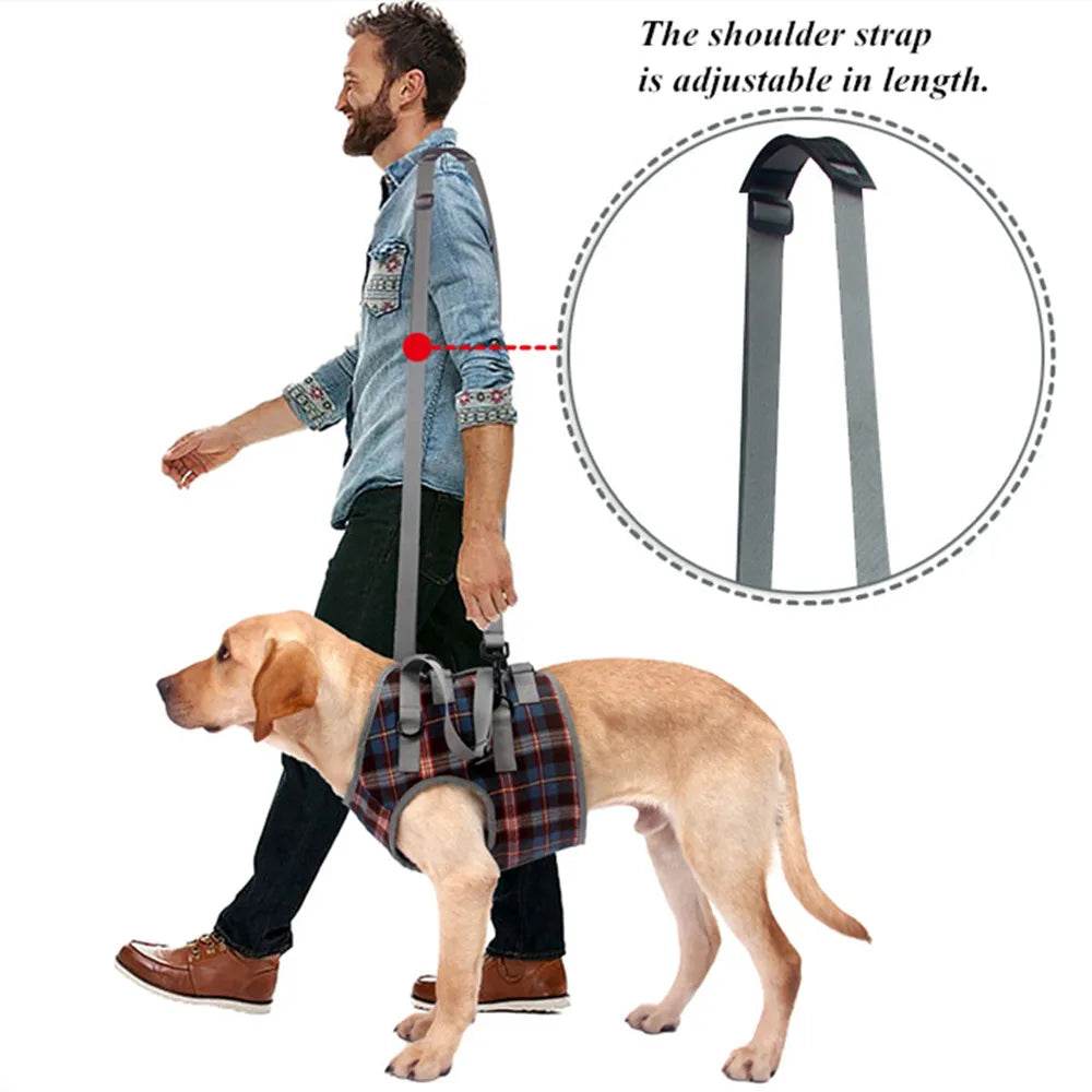 Adjustable Dog Support Harness for Front and Rear Legs Lifting Rehabilitation Vest for Old Dogs with Disabilities Pet Supplies - Simply Petastic
