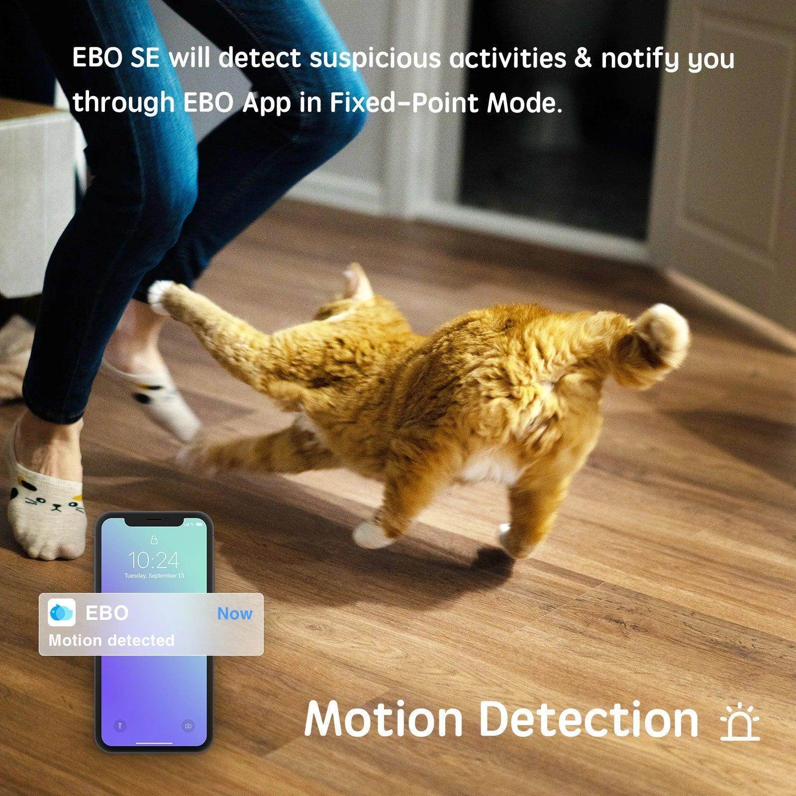Pet Smart WiFi Camera - Simply Petastic